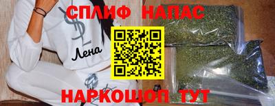 прущие грибы Гусев